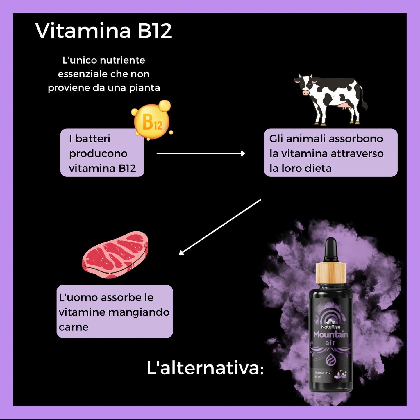 Vitamina B12 (50ml)