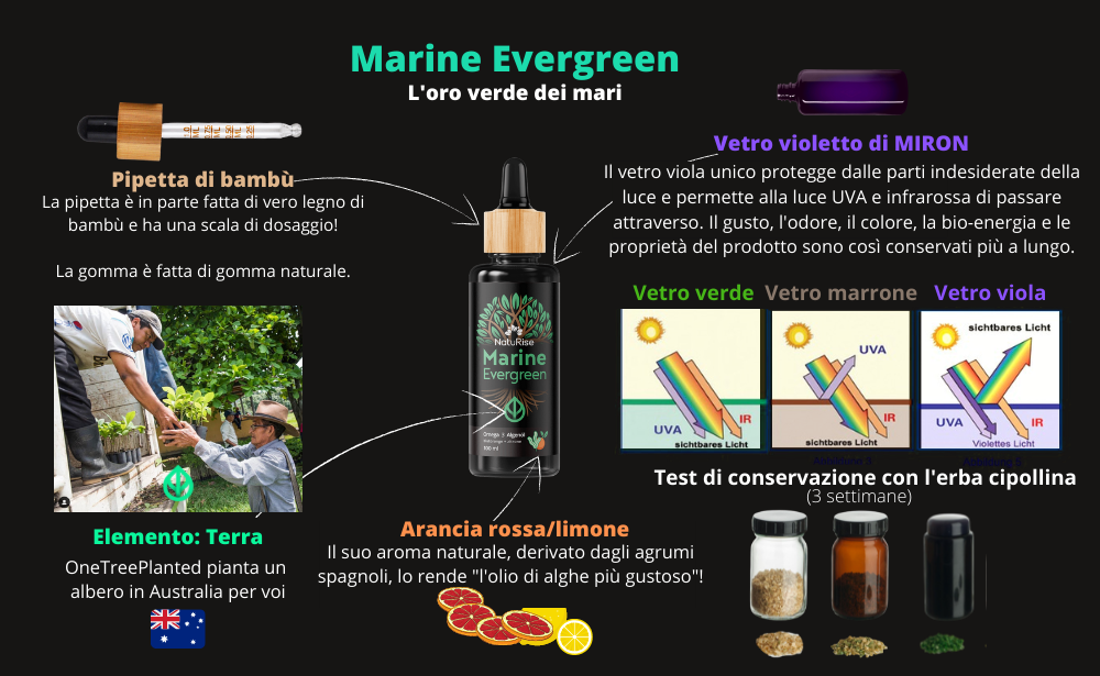 Olio di alghe Omega 3 (100ml)